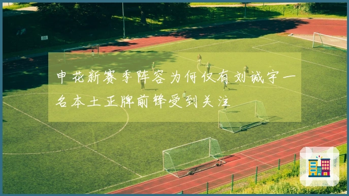 申花新赛季阵容为何仅有刘诚宇一名本土正牌前锋受到关注