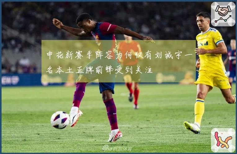 申花新赛季阵容为何仅有刘诚宇一名本土正牌前锋受到关注